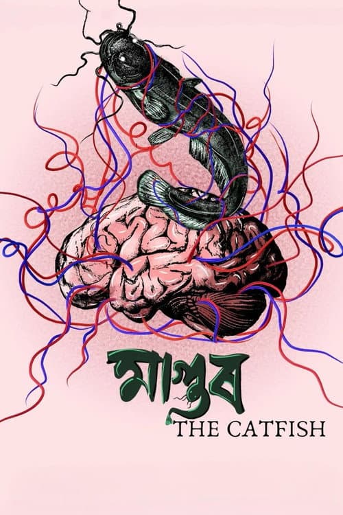 মাগুৰ