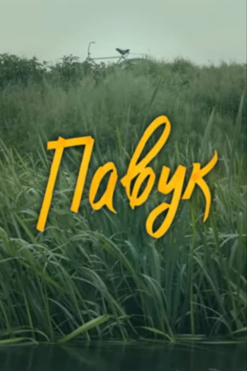 DZIDZIO: Павук