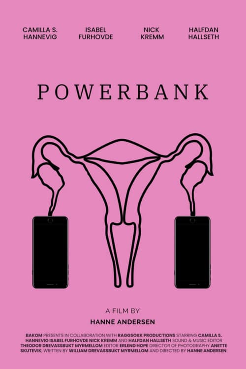 Power Bank