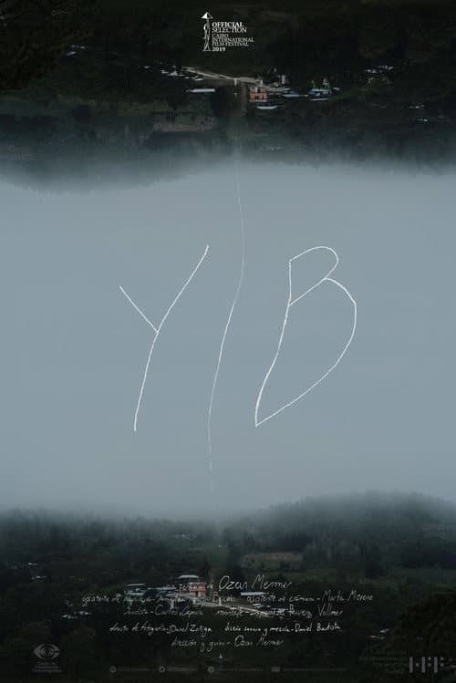 YIB