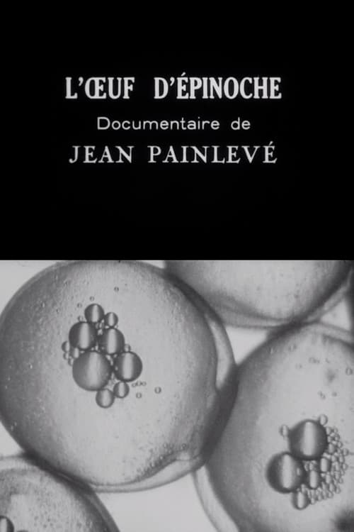 L'Oeuf d'épinoche