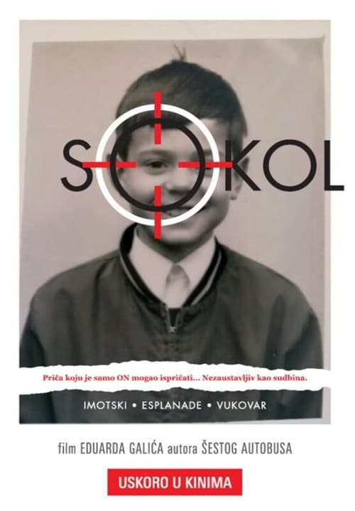 Sokol