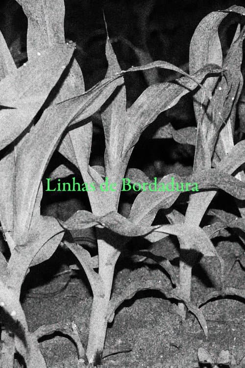 Linhas de Bordadura