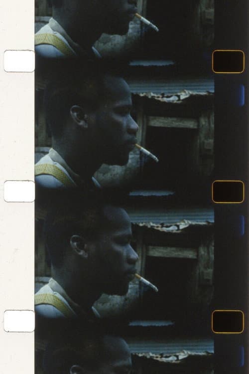 Pipe