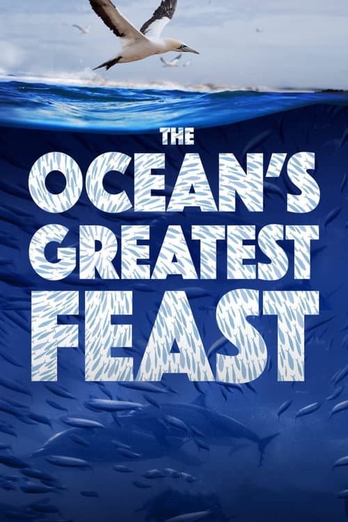 La fiesta más grande del Oceáno (The Ocean’s Greatest Feast)