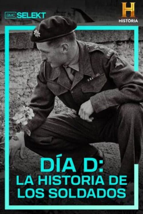 D-Day: The Soldiers' Story