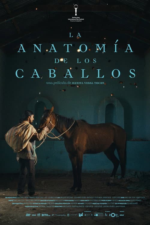 La anatomía de los caballos