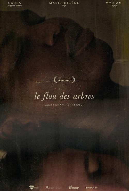 Le flou des arbres
