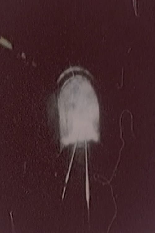 Hibaku Ningen X