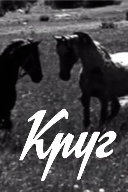 Круг