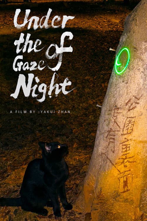 Under the Gaze of Night