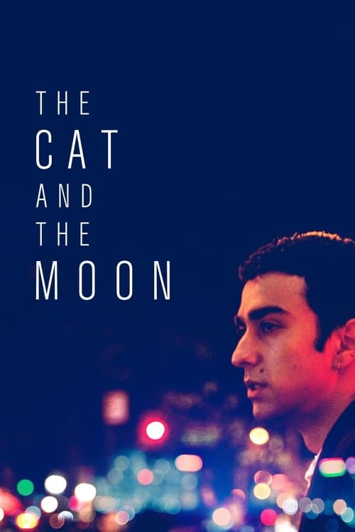 El Gato y la Luna