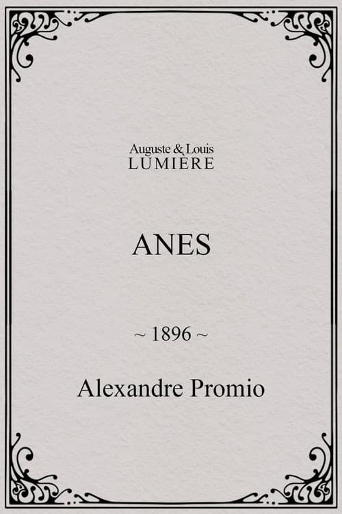 Anes