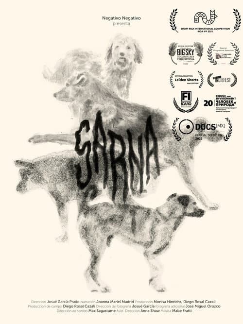 Sarna