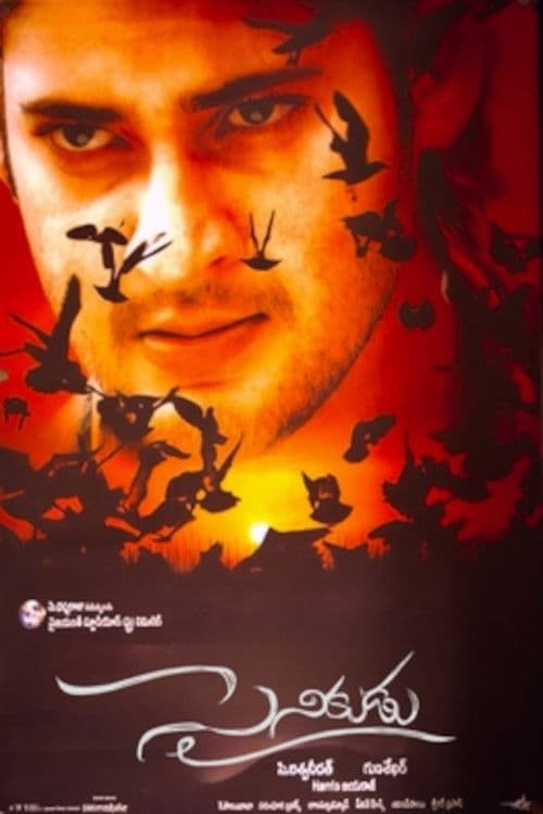 సైనికుడు