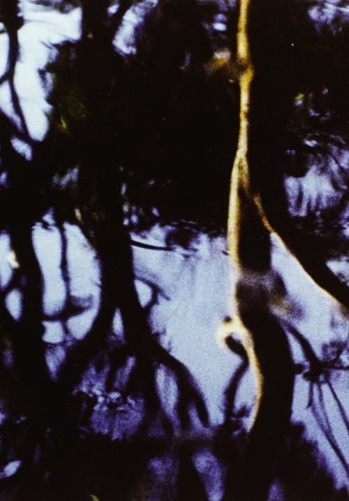 Corporeal