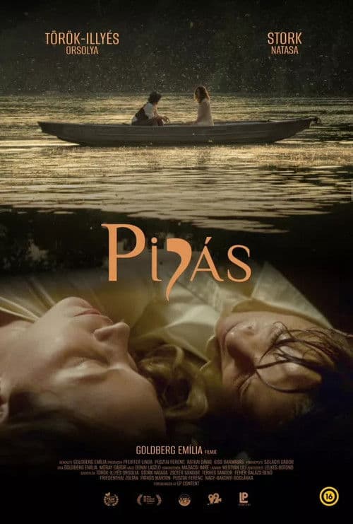 Pipás