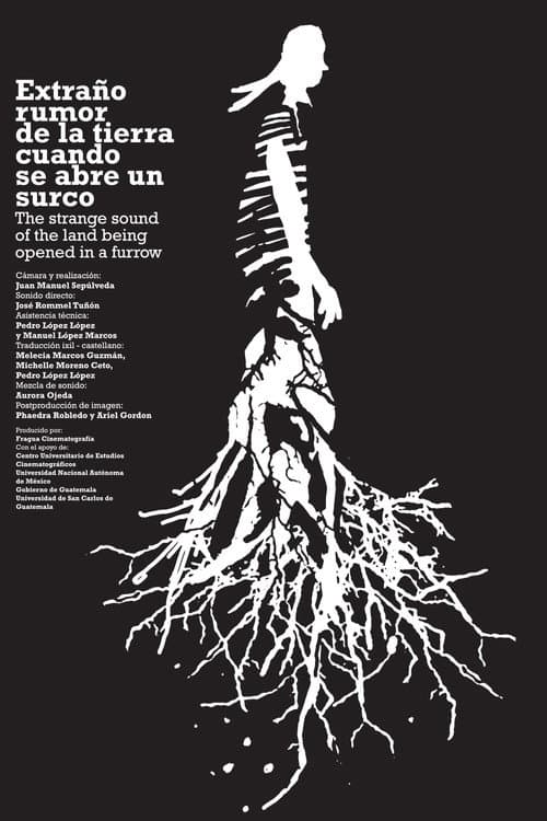 Extraño rumor de la tierra cuando se abre un surco