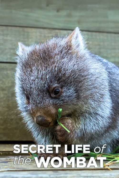 La vida secreta de los wombat