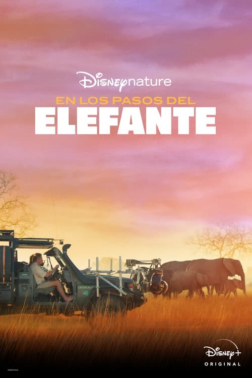 In the Footsteps of Elephant
