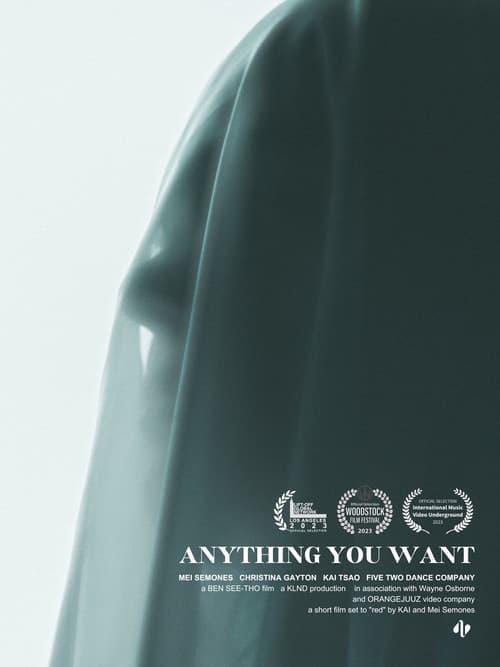 Anything You Want