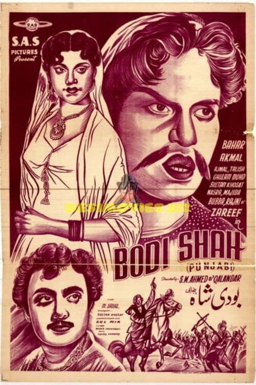 Bodi Shah