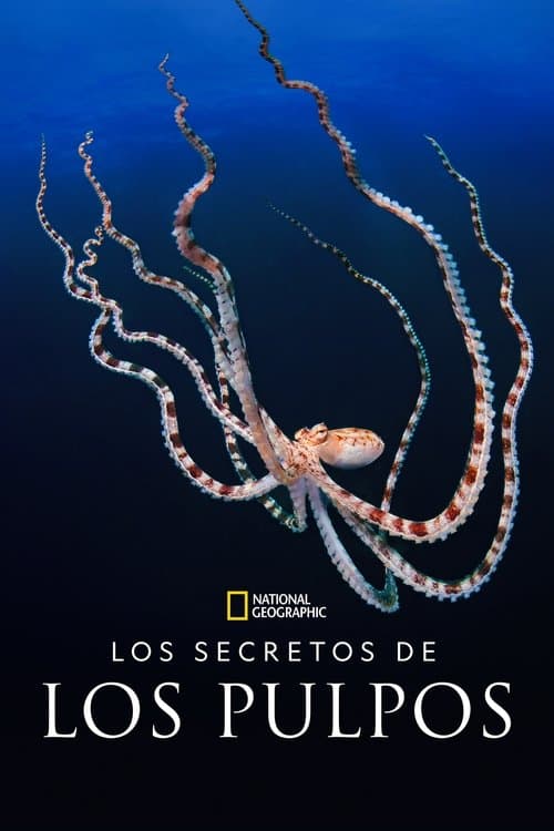 Los Secretos De Los Pulpos