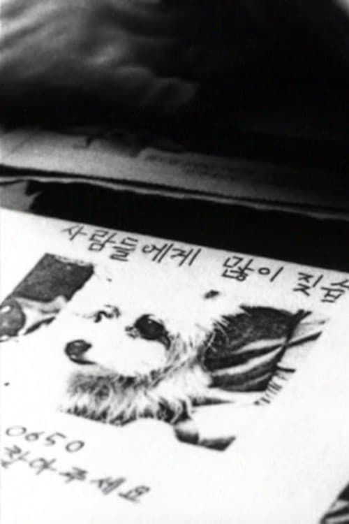 나무들이 봤어