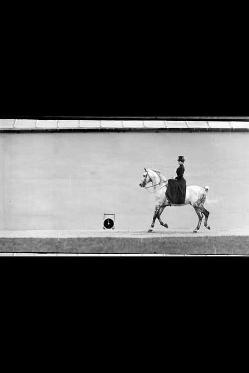 Cheval Bai, Monté par Thérèse Rentz, Petit Galop