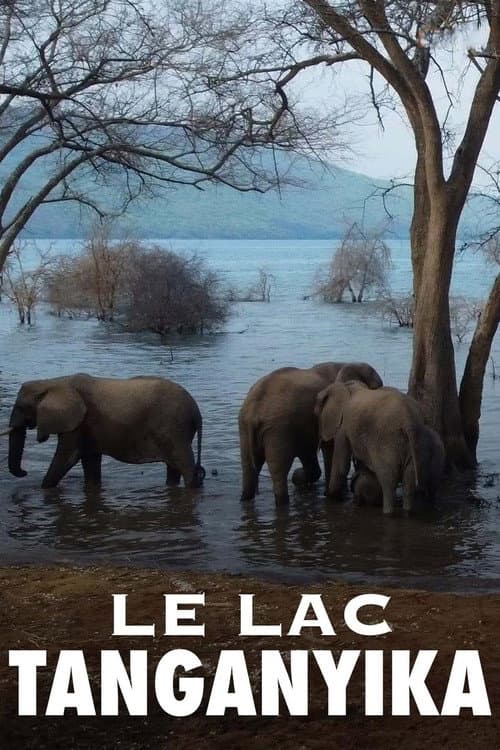Le lac Tanganyika, la source de vie de l'Afrique