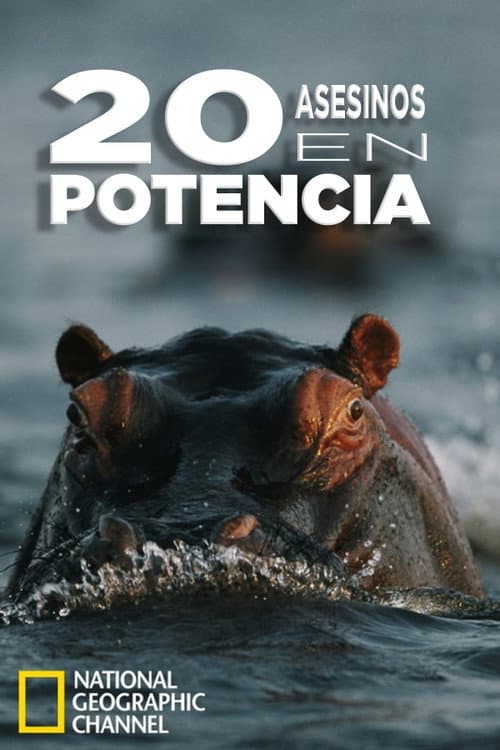20 Animals That Will Kill You