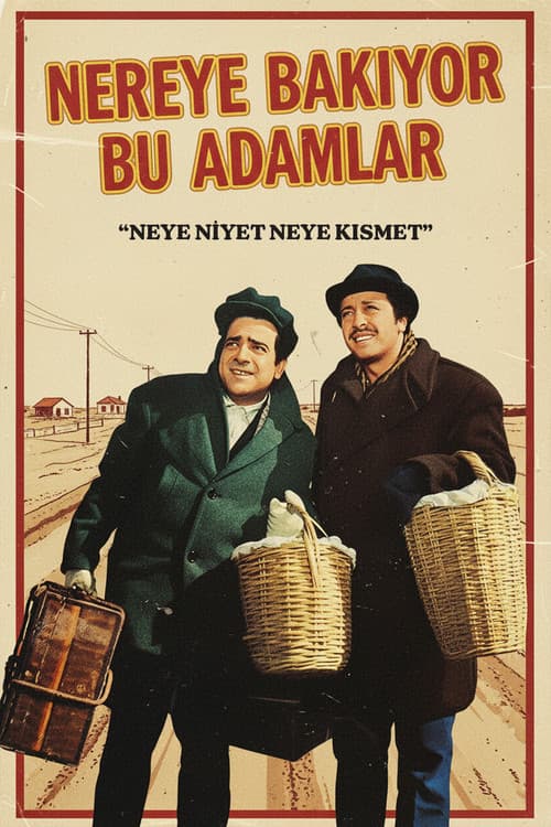 Nereye Bakıyor Bu Adamlar