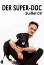 Temporada 9