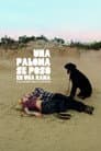 Una paloma se sentó en una rama a reflexionar sobre la existencia