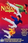 3 Ninjas al rescate