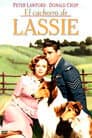 El hijo de Lassie