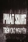 Ván bài lật ngửa 3: Phát súng trên cao nguyên
