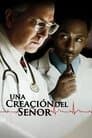 Una creación del Señor