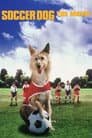 El Perro Futbolista