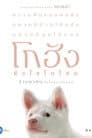 โกฮัง..หัวใจโกโฮม