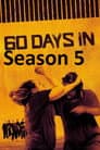 Temporada 5