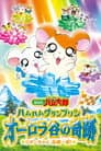 劇場版 とっとこハム太郎 ハムハムグランプリン オーロラ谷の奇跡 ~リボンちゃん危機一髪!~