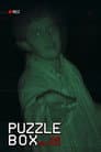 Puzzle Box: The Glitch