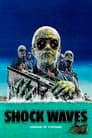 Shock Waves