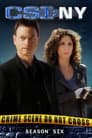 Temporada 6
