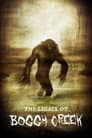 The Legacy of Boggy Creek
