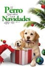 El perro que salvó las Navidades