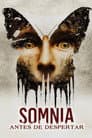 Somnia: Antes de despertar
