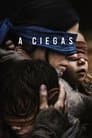 Bird Box: A Ciegas