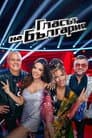 Temporada 8